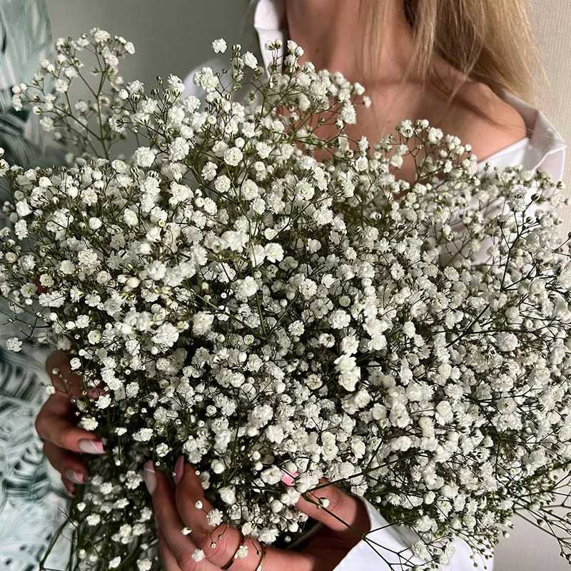 White Natural Dried Gypsophila Babys Breath Dried Flowers Gypsophila Arrangement Home Decoration Wedding Table Decor Floral DIY H260421