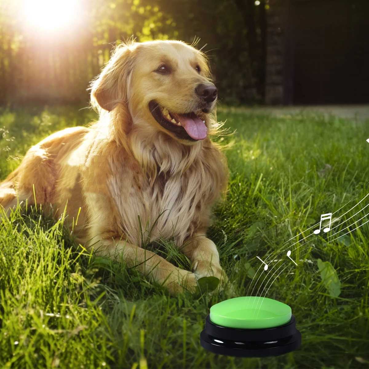 Pet sound box can record talking buttons tape recorder toy for communication training squeeze box dog toy party supplies X241213