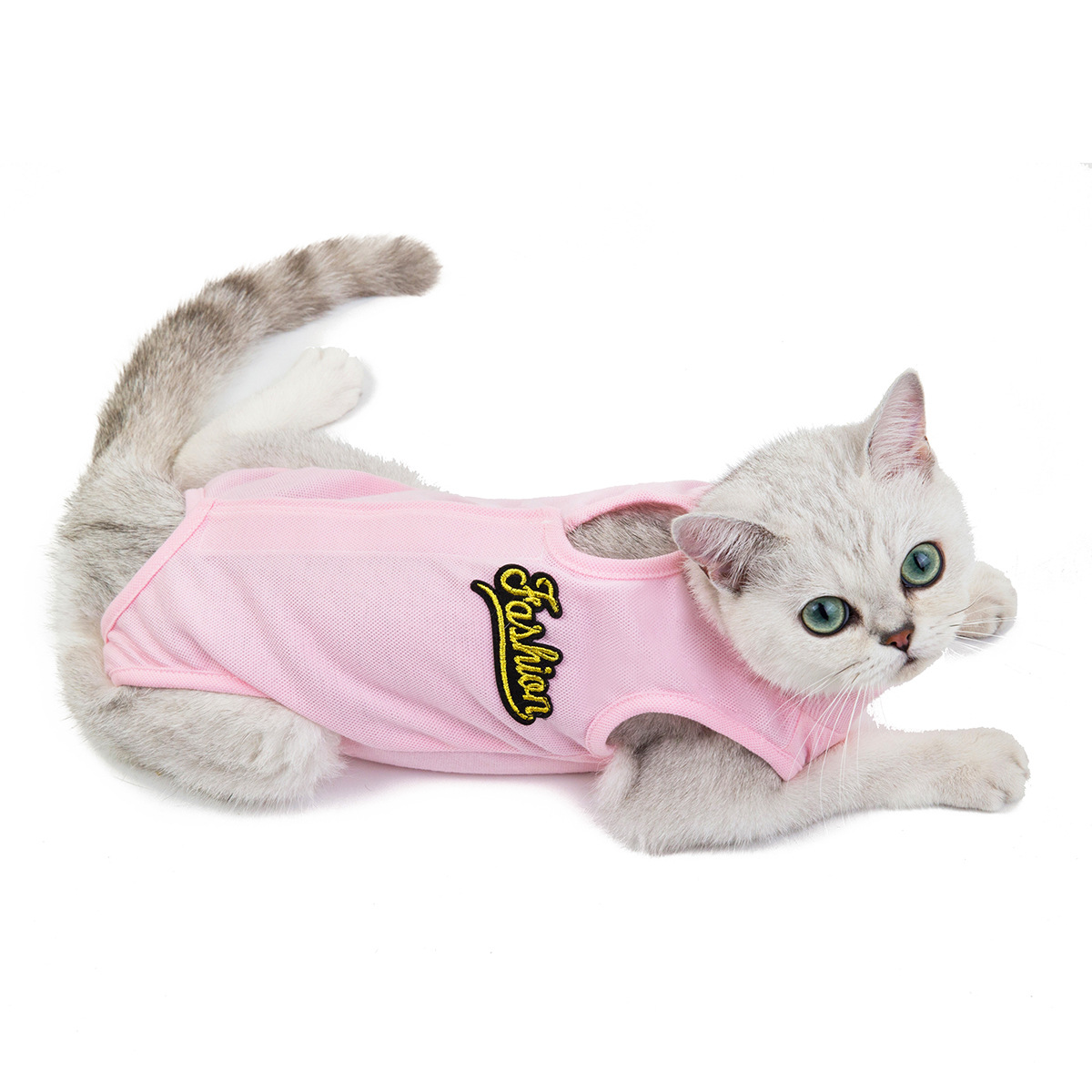 Update Postpartum Sterilization Cat Spring Summer Surgical Anti Licking Weaning Puppy Home Clothes, Wholesale And Free Shipping