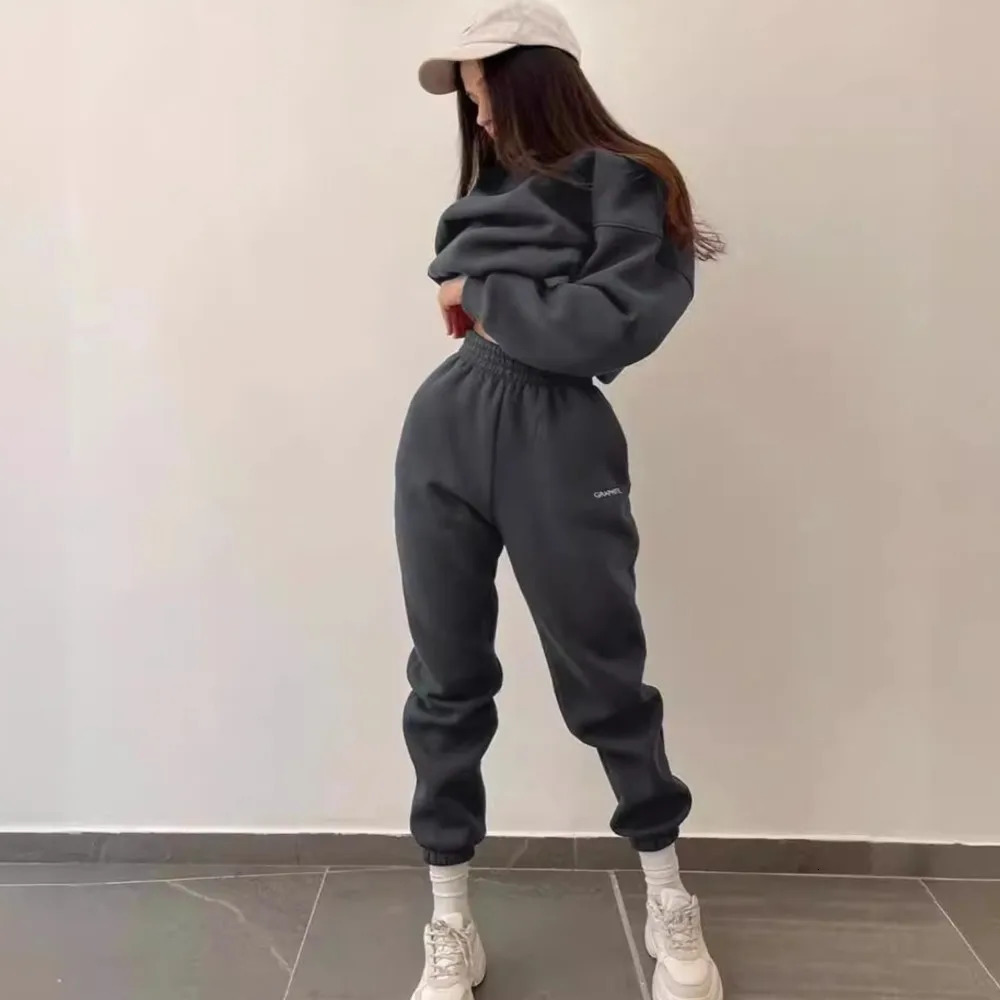 Autumn And Winter Casual Sports Suit Fashion Solid Color Simple Warm Pants Hoodie Female 2 Piece Set 2024 241203