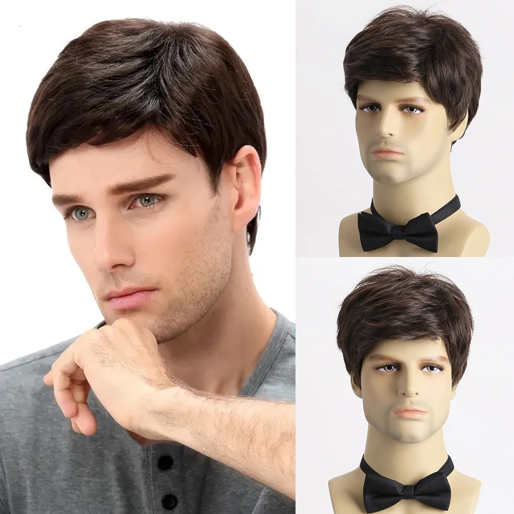 Mens Brown Wigs Natural Fluffy Layered Synthetic Hair For Men Male Halloween Daily Use Wig 241213