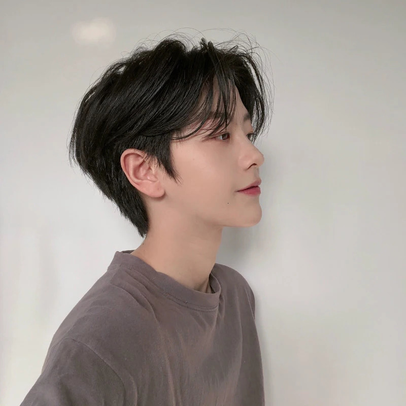 Mens Synthetic Fluffy Short Wig with Middle Parted Bangs Heat-resistant High Temperature Fiber Black DIY Styling Wig for Men 241213