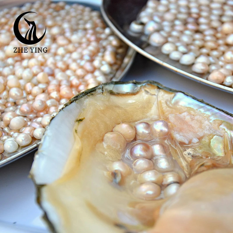 Zheng Ying Rice Freshwater Pearl Loose Irregular Natural Mother of Beads Used for Jewelry Making Bracelet DIY Accessories 241212
