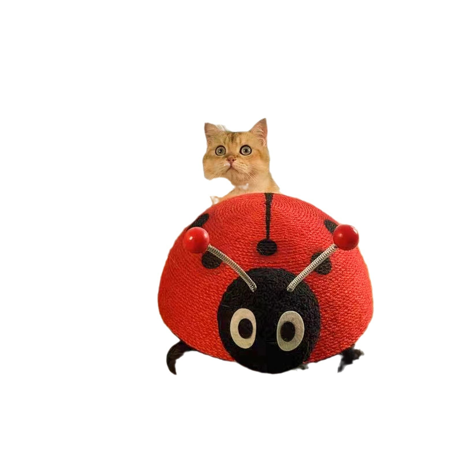 ddmySat Azimeow turtle board toy sisal wear resistant and shatterproof ladybug bee anti sofa cat scratching column