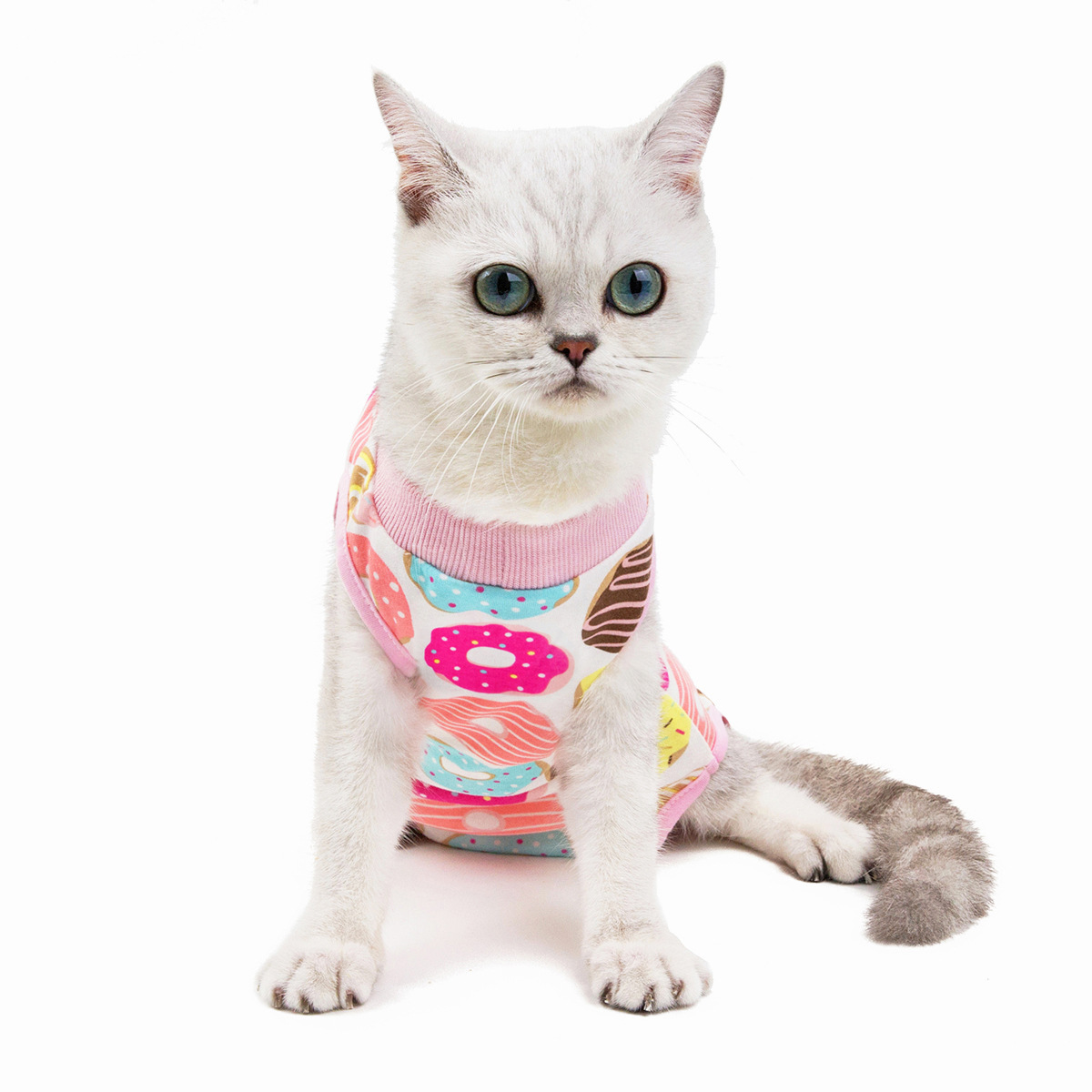 Update Postpartum Sterilization Cat Spring Summer Surgical Anti Licking Weaning Puppy Home Clothes, Wholesale And Free Shipping
