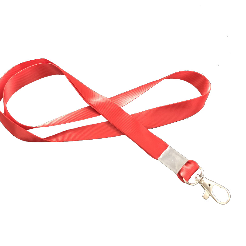 Custom Carabiner Lanyards with Logo Custom and Id Badge Holder Mobile Phone Keys Id Holder Neck Strap Cartoon Holder Lanyard