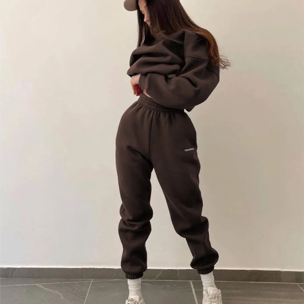 Autumn And Winter Casual Sports Suit Fashion Solid Color Simple Warm Pants Hoodie Female 2 Piece Set 2024 241203