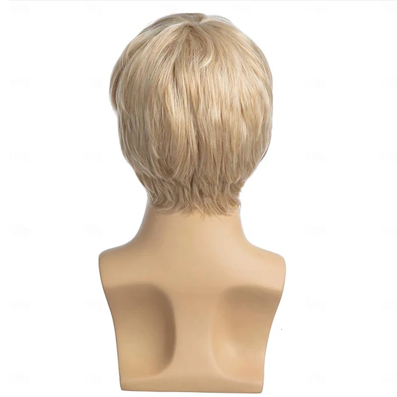 HAIRJOY Mens Wig Short Blonde Wig Short Layered Synthetic Hair for Male Cosplay Anime Halloween Wig 241213