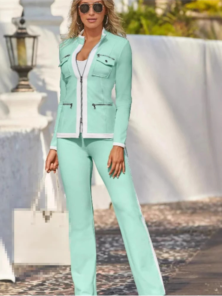 Autumn And Winter Fashion Solid Color Casual Two Piece Sets Elegant Women Slim Simple Zipper Top Straight Sweatpants Suit 241214