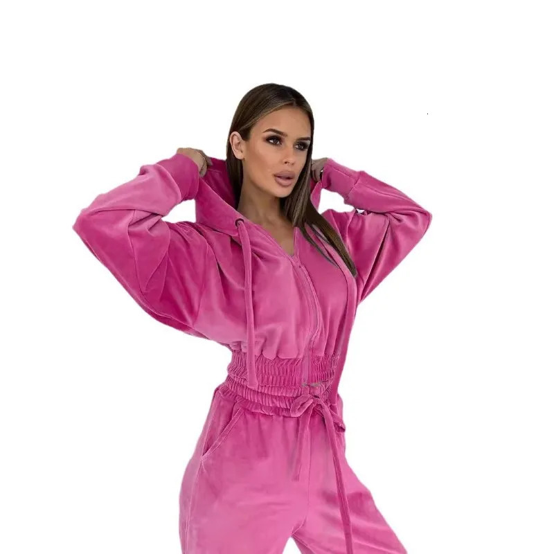 Velour Tracksuit Womens 2 Piece Sweatshirt Weatpants Set Full Zip Hoodie with Pocket Causal Sportswear Autumn 241209