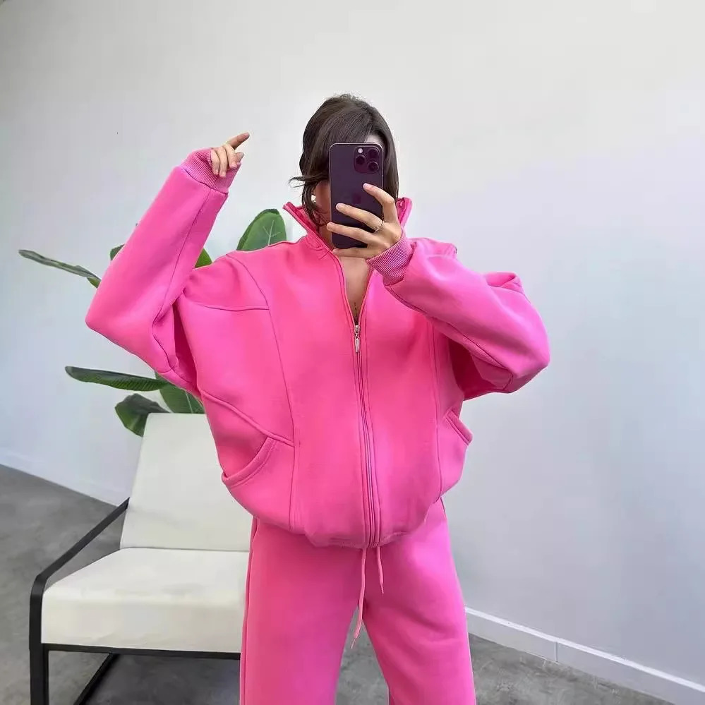 Women Fleece Suit Loose Long Sleeve Sweatshirt and High Waist Trousers 2 Pieces Set Female Winter Fashion Warm Tracksuit 241209
