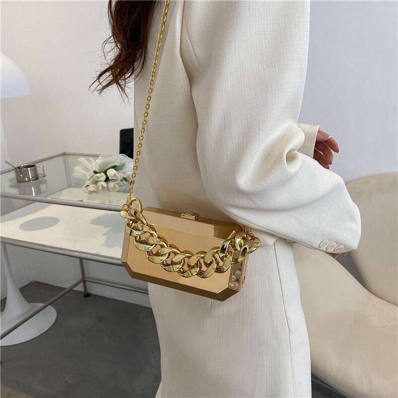 Metal box women's retro niche thick chain acrylic shoulder crossbody ins internet famous mobile phone bag 2024 new style chic elegant clothing