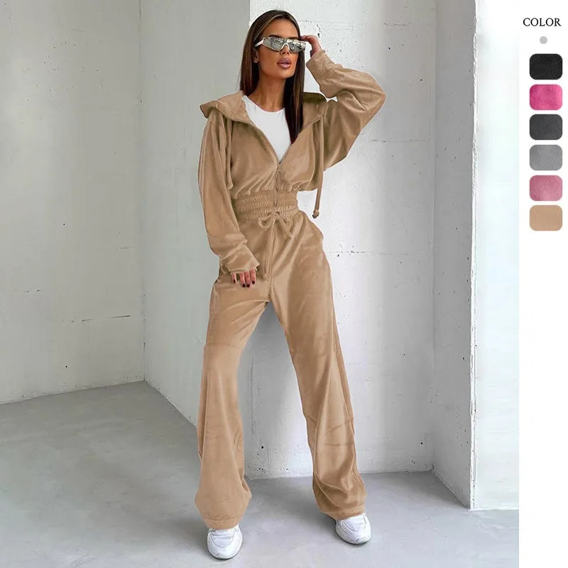 Velour Tracksuit Womens 2 Piece Sweatshirt Weatpants Set Full Zip Hoodie with Pocket Causal Sportswear Autumn 241209