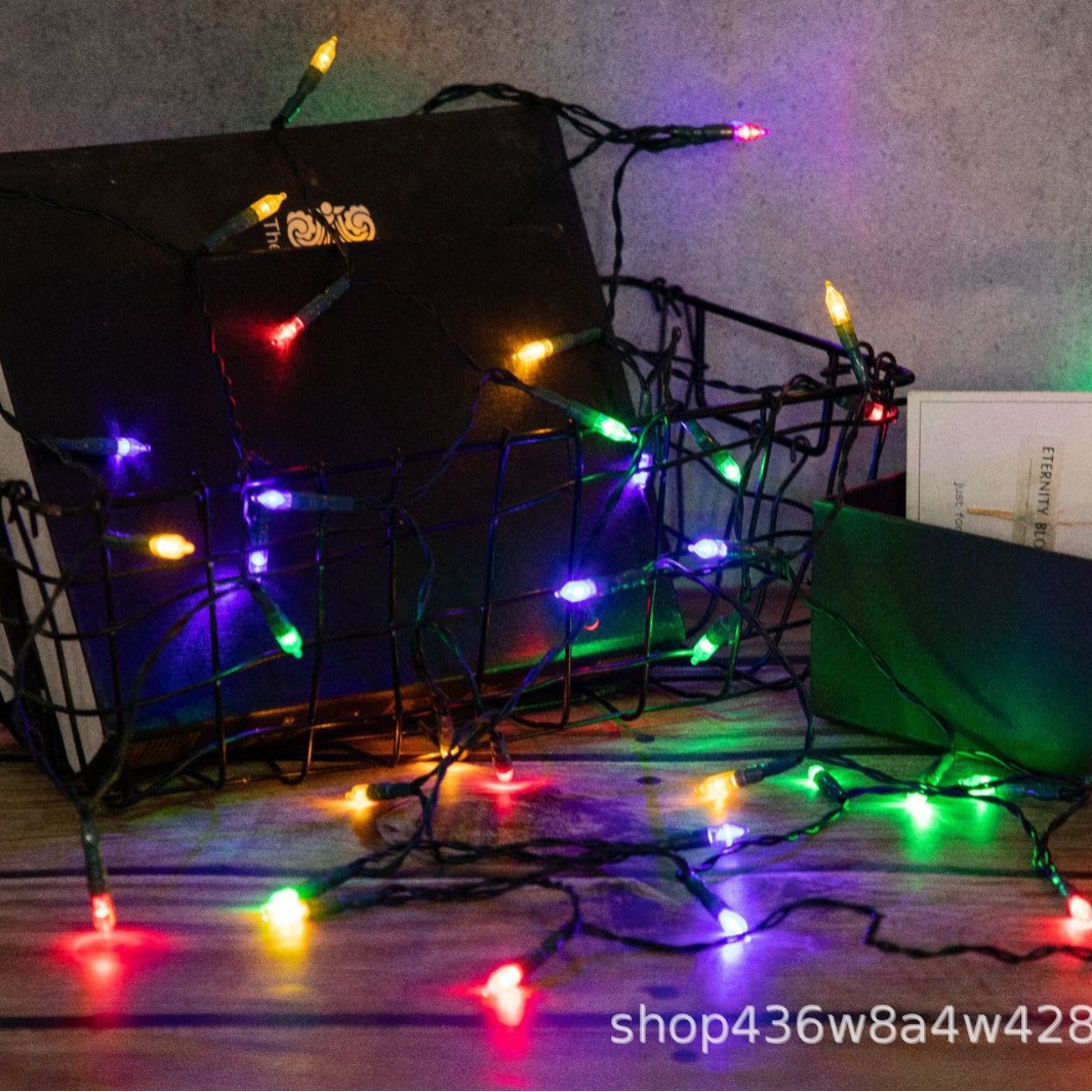 Outdoor LED Light Strings with Rainbow Colors for Park Celebrations