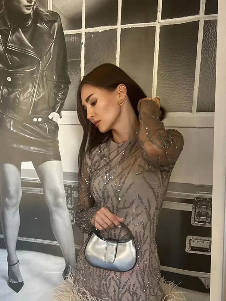 2024 Mesh Sheer Sequined Long Sleeve Dress Fashion Sexy Feather Sequins Partywear Mini Dresses Women Chic Party Vestidos 241214