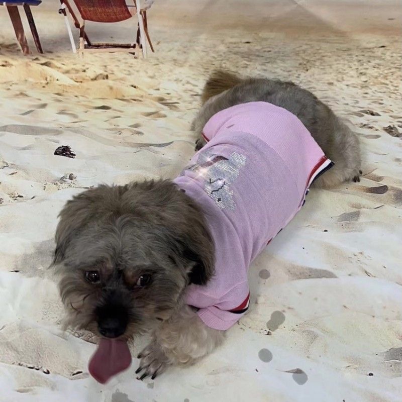 Sparkling Rhinestone Pattern Dog Sweater, Ice Hemp Material for Ultimate Comfort and Style, Versatile Pets Clothing for All Seasons, Suitable for Pupp