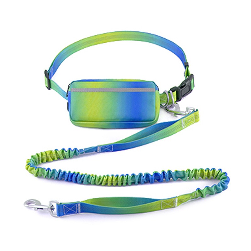 Hands Free Dog Leash with Waist Belt Adjustable Elastic Bungee Pet Running Lead for Walking Training