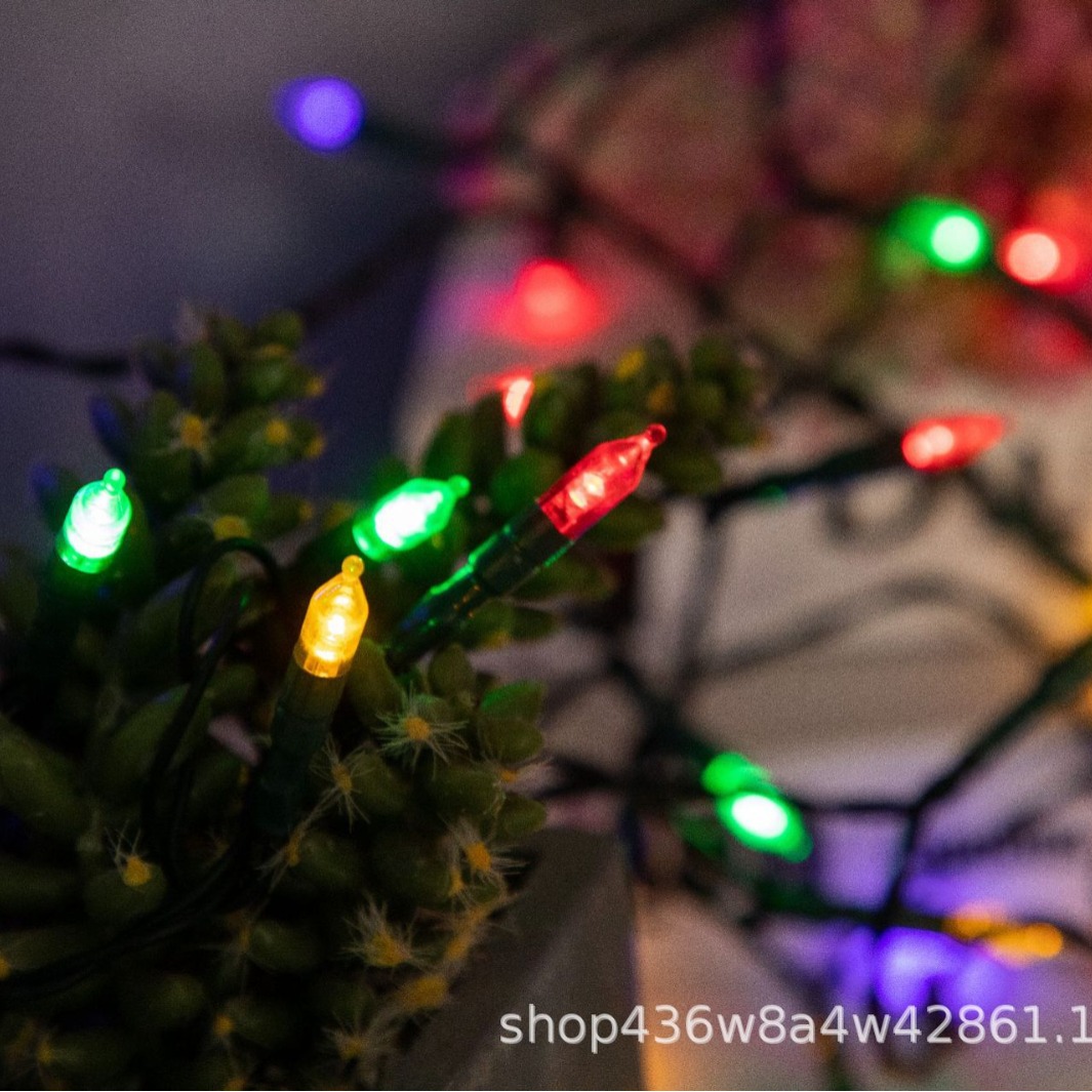 Outdoor LED Light Strings with Rainbow Colors for Park Celebrations