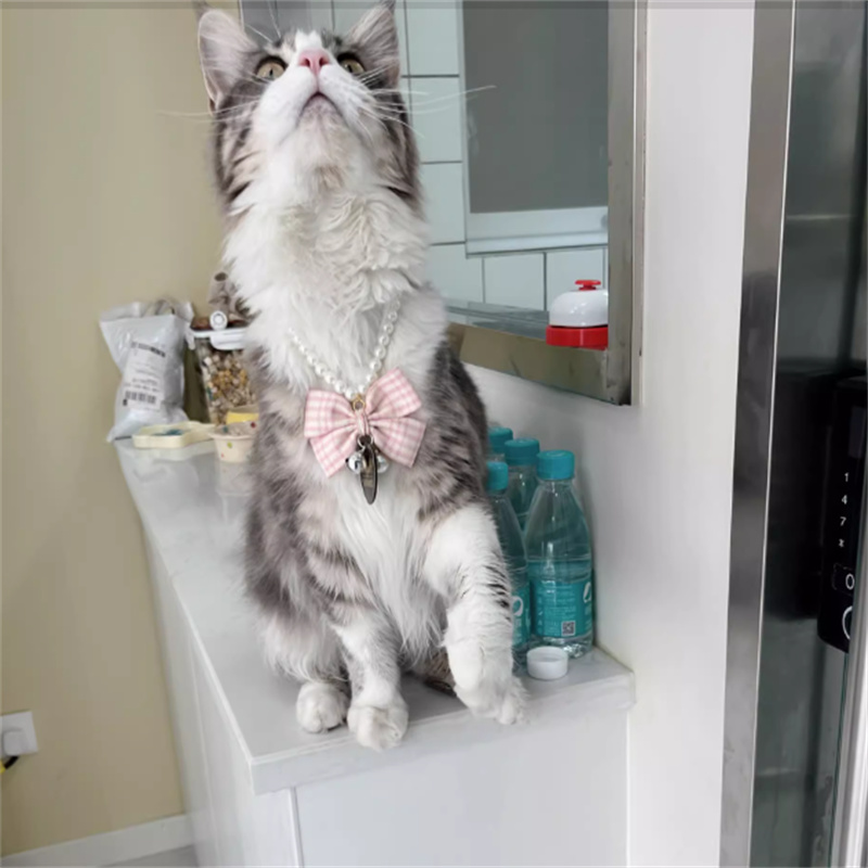 Cats Collar Cute Adjustable Pearl Dog Bell Necklace Jewelry Pearl Bow Pet Collar Elegant Party Dress Collar