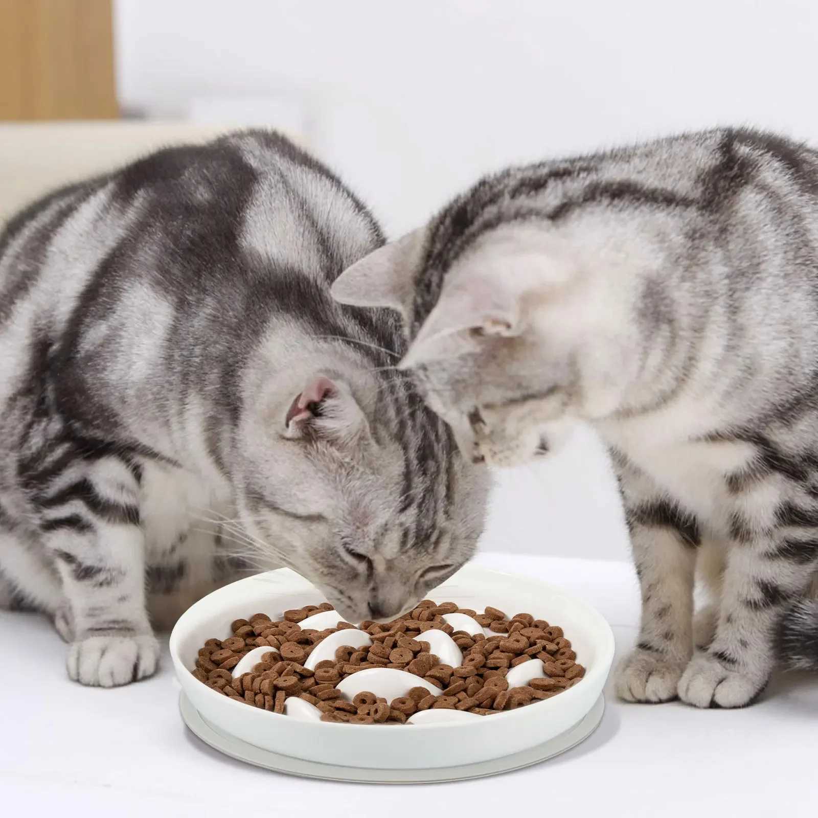 Cat Feeders Cat Slow Feeder Bowl with Non Slip Mat Raised Edge Slow Eating Cat Bowls Anti Vomiting Ceramic Slow Bowl Slow Feeder Dish z241213