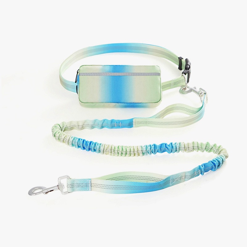 Hands Free Dog Leash with Waist Belt Adjustable Elastic Bungee Pet Running Lead for Walking Training