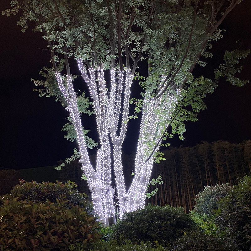 Outdoor LED Fairy Lights String for Garden Decoration - Festive Christmas Wedding Lighting