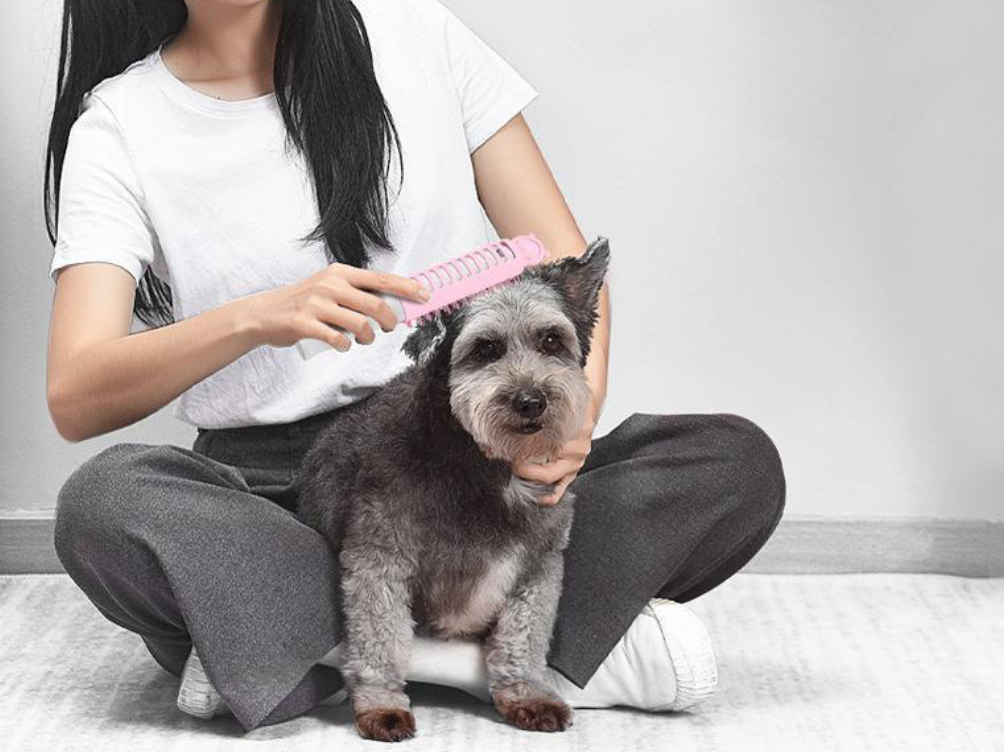Electric Pet Grooming Brush Dog Cat Hair Removal Comb Massage Cleaning Tool