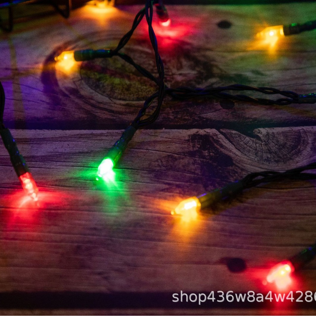 Outdoor LED Light Strings with Rainbow Colors for Park Celebrations