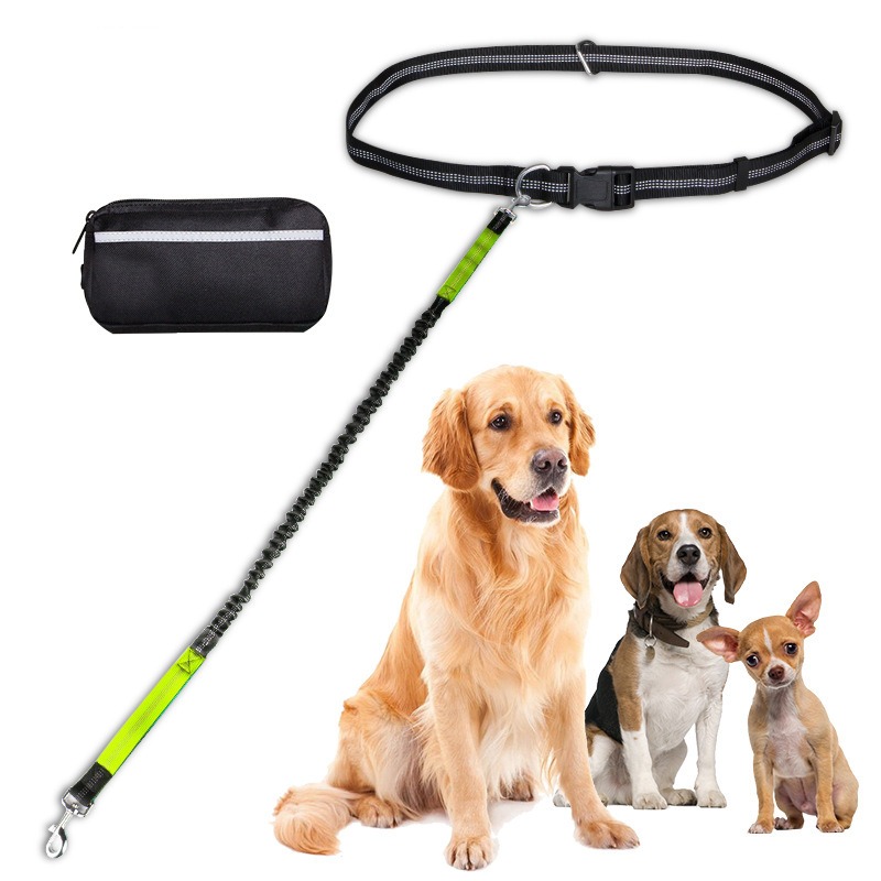 Hands Free Dog Leash Adjustable Waist Belt with Elastic Bungee Pet Running Lead for Outdoor Walking
