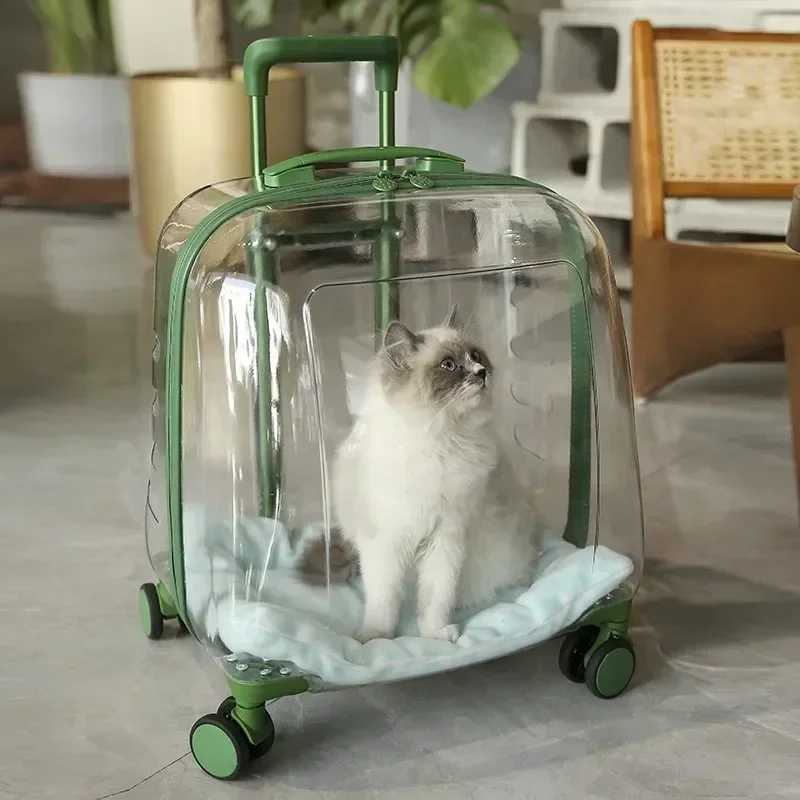 Cat Backpacks Carriers Clear pet backpack cat carrier bag portable capsule pet carrier bag z241216