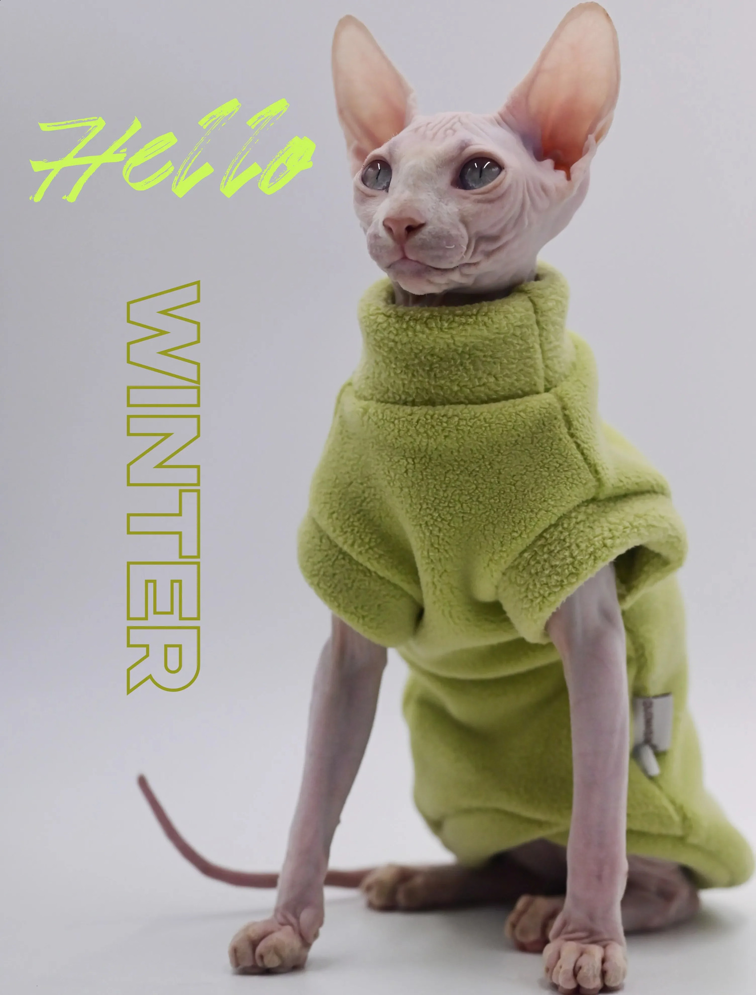 DUOMASUMI-Soft Dirt-Resistant Sphynx Clothes Costume Thick Winter Apparel Devon Hairless Cat Clothing 241216