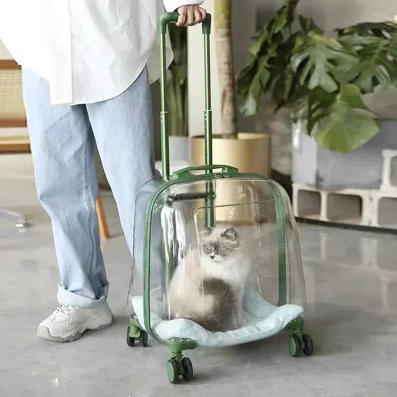 Cat Backpacks Carriers Clear pet backpack cat carrier bag portable capsule pet carrier bag z241216