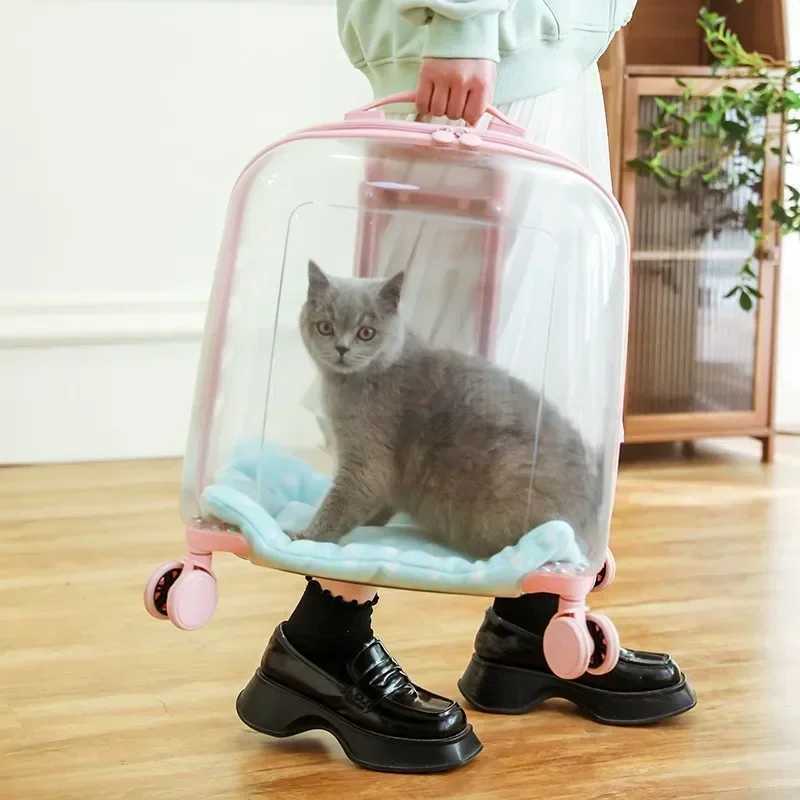 Cat Backpacks Carriers Clear pet backpack cat carrier bag portable capsule pet carrier bag z241216
