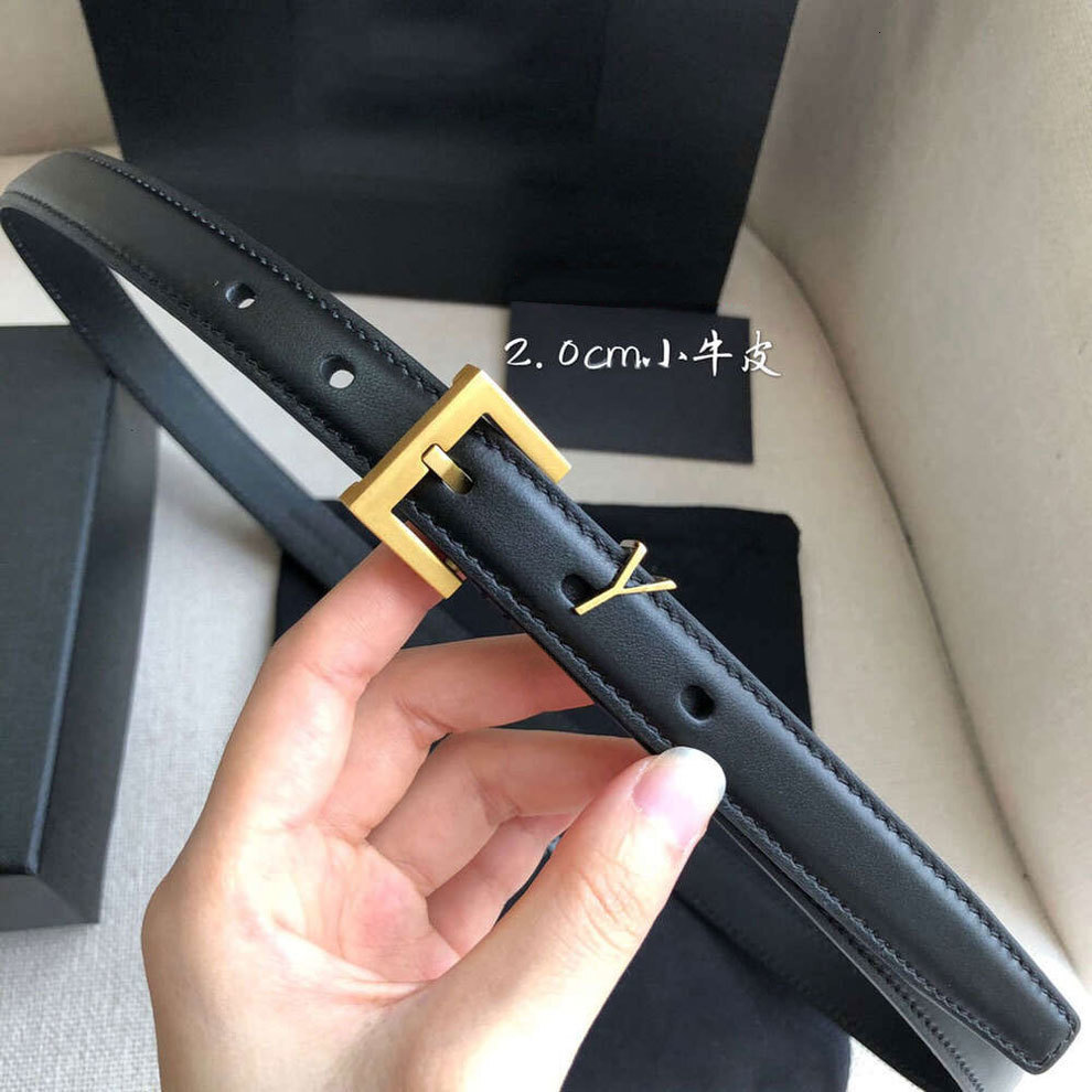 fashion designer belts women genuine leather belt 2 0/3 0cm width high quality woman yslwens ysllies thin s needle buckle cnosme lady waistband cintura ceintures