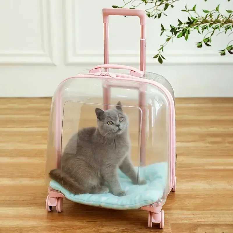 Cat Backpacks Carriers Clear pet backpack cat carrier bag portable capsule pet carrier bag z241216