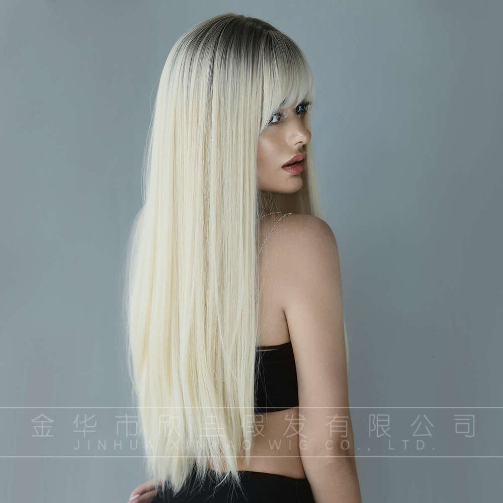 Attention To Ordering - Autumn And Winter Women's Wigs With Extra Long Straight Hair, Platinum Gradient Pencil, Ashed Fiber Nism Wig Kq9 Kq9