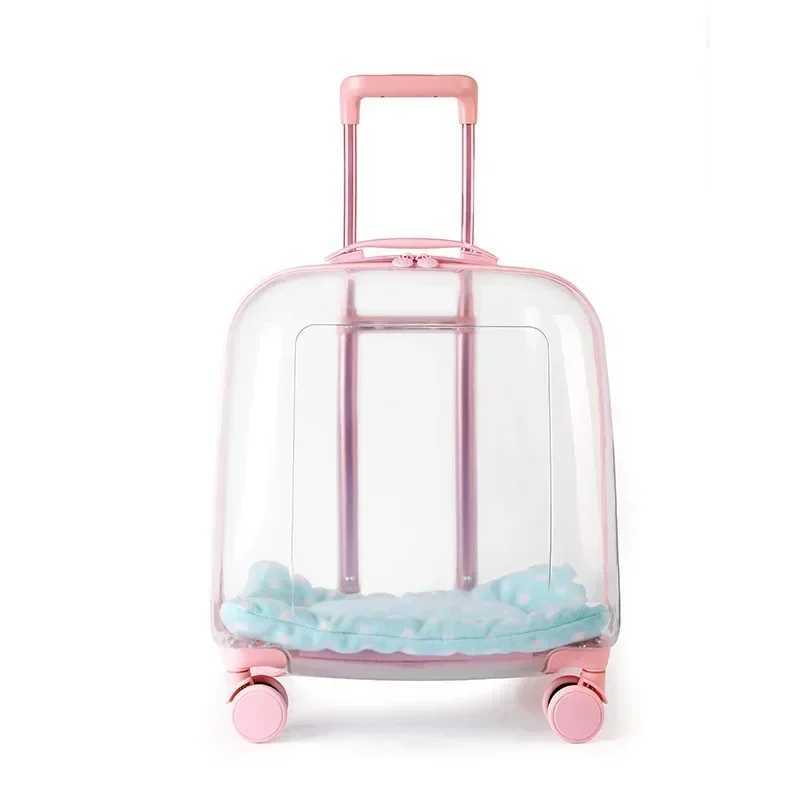 Cat Backpacks Carriers Clear pet backpack cat carrier bag portable capsule pet carrier bag z241216