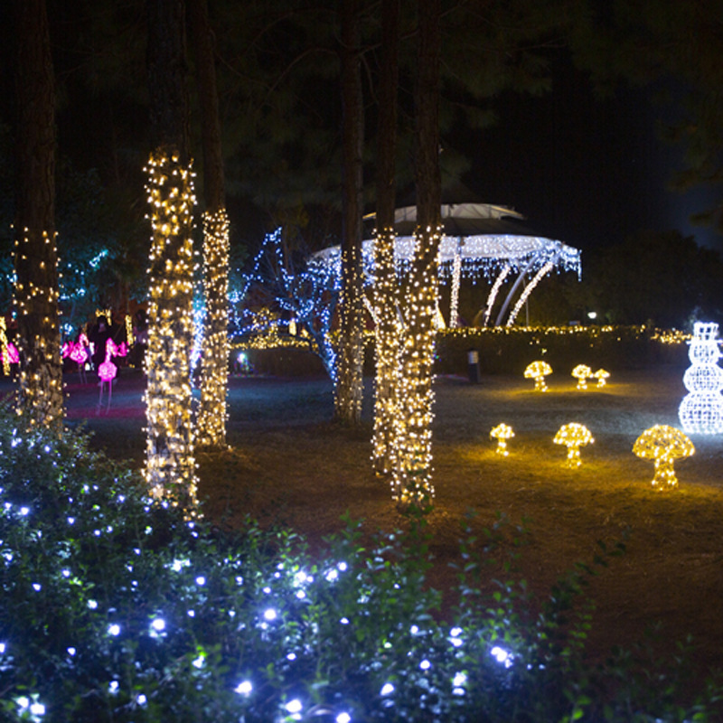 Wholesale Factory-Directed Solar Light Strings - Weatherproof Outdoor Decorative LED Lights for Gardens