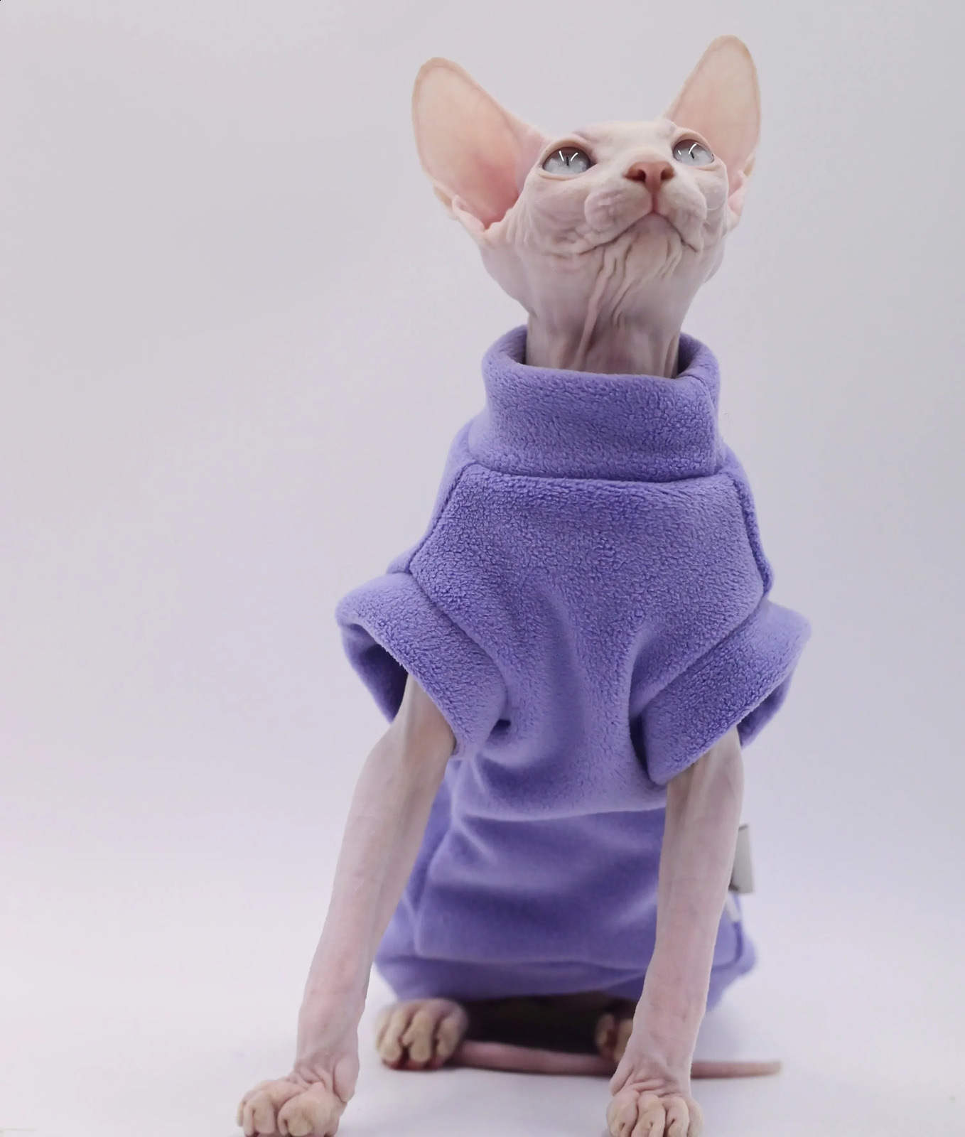 DUOMASUMI-Soft Dirt-Resistant Sphynx Clothes Costume Thick Winter Apparel Devon Hairless Cat Clothing 241216