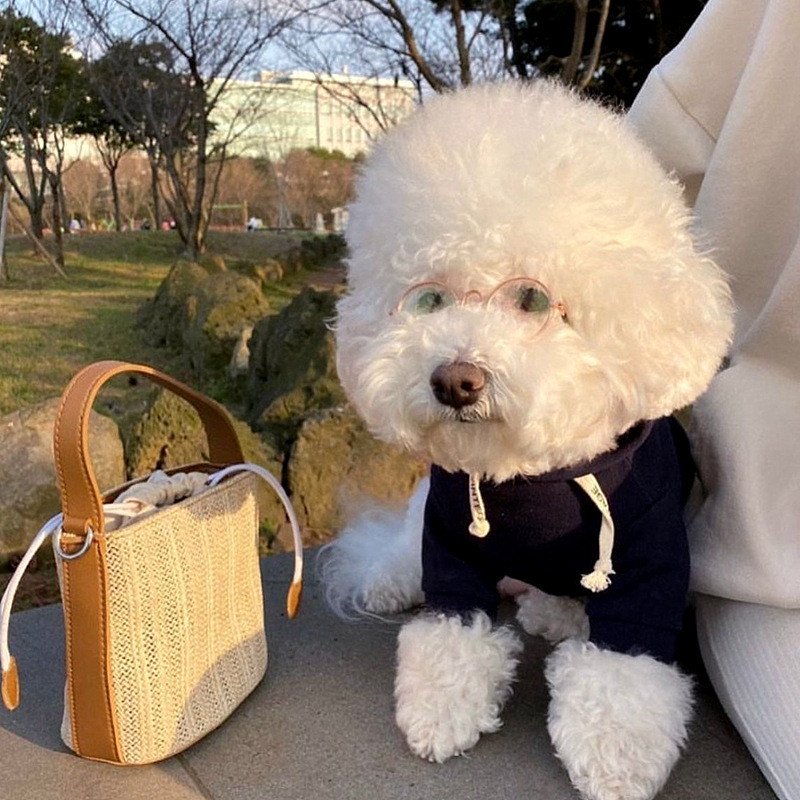 Autumn and winter dog simple hooded drawstring hoodie ins wind cat two feet clothes puppy milk dog pet clothes
