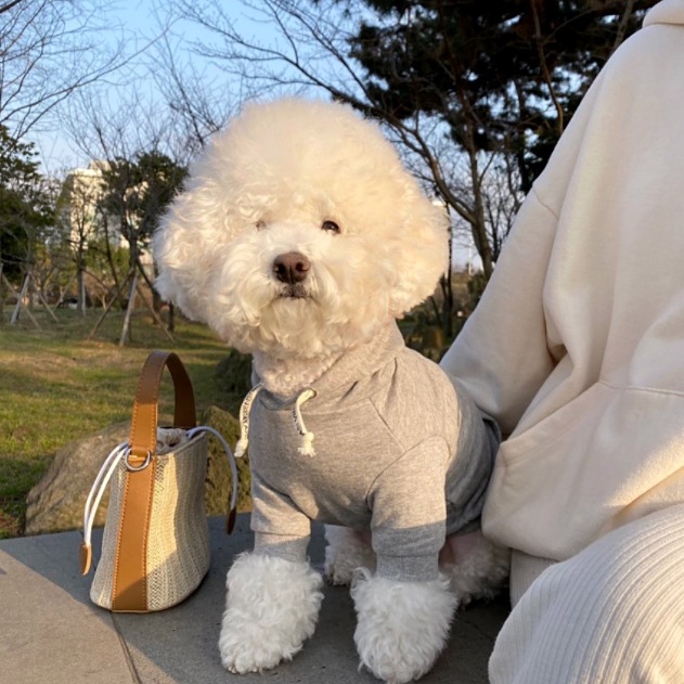 Autumn and winter dog simple hooded drawstring hoodie ins wind cat two feet clothes puppy milk dog pet clothes