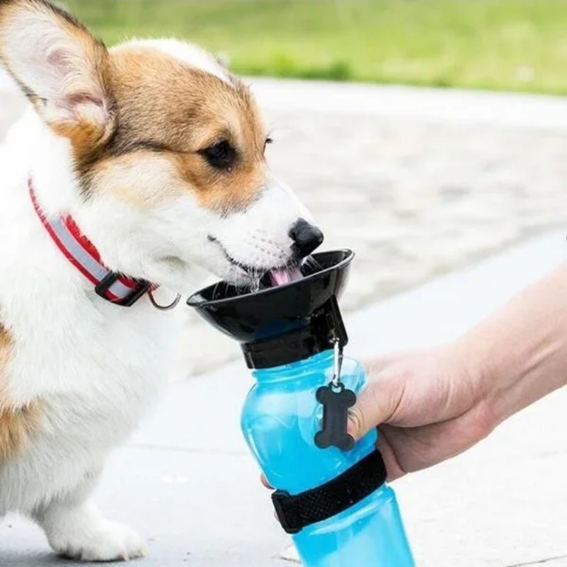 free shipp ing Portab l e Pet Bott l e Extrusion Large Travel Cup 500 ml Outdoor Drinking Water Feeder Bowl for Dog Cat