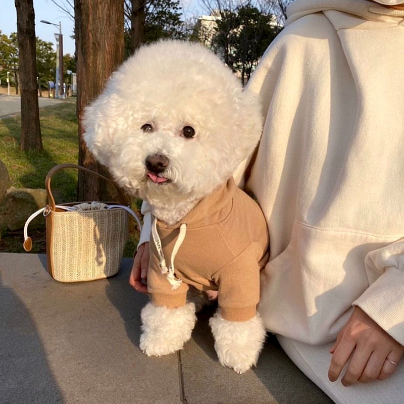 Autumn and winter dog simple hooded drawstring hoodie ins wind cat two feet clothes puppy milk dog pet clothes