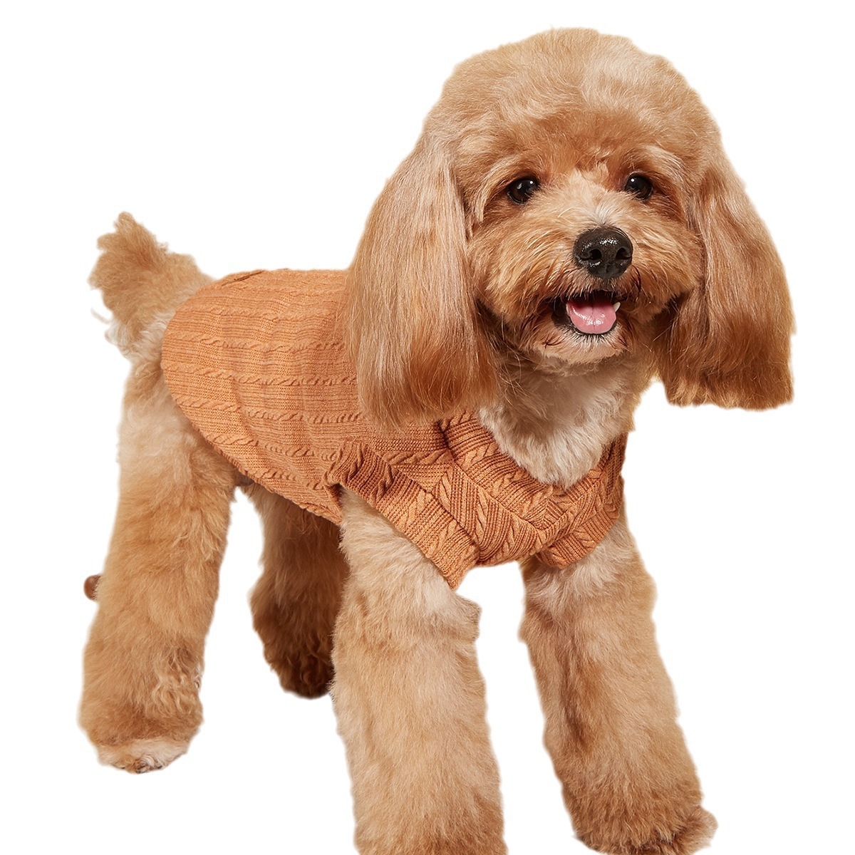 Dog Apparel Pet Clothes cross-border pet clothing Teddy small dog V-neck vest pet T-shirt top