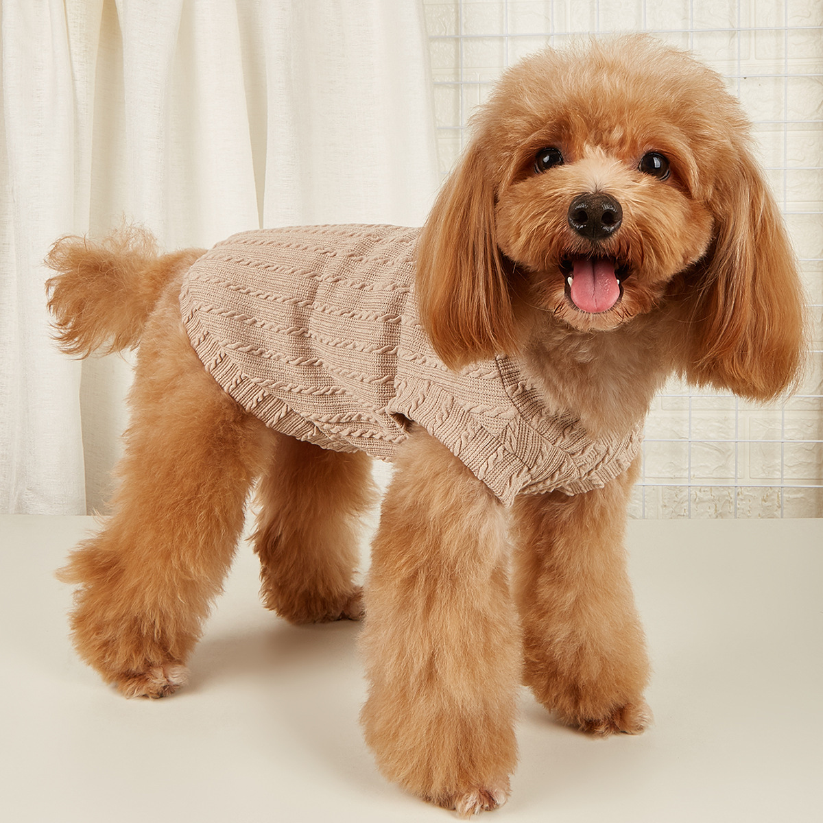 Dog Apparel Pet Clothes cross-border pet clothing Teddy small dog V-neck vest pet T-shirt top