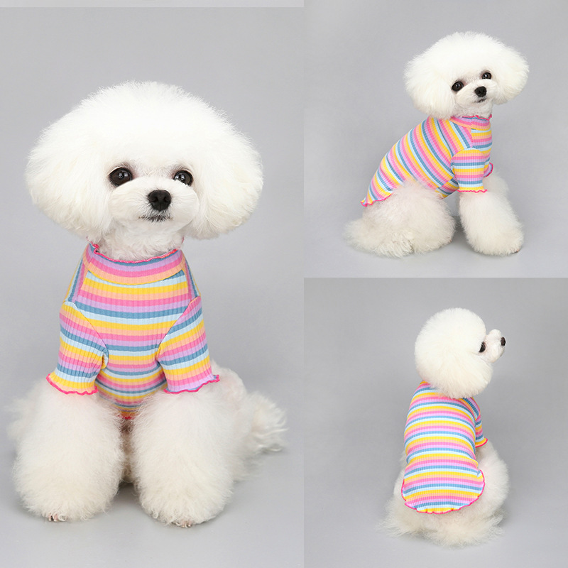 Pet Clothes Spring and Autumn Cotton Rainbow Dog Cat Small Dog Hoodie Clothes
