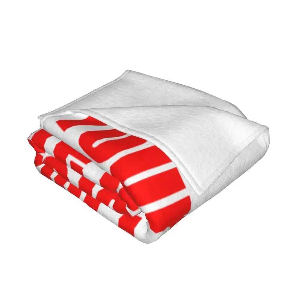 Blanket Flannel Spring Autumn Your Picture Here Free Design Customized Warm Throws For Winter BeddingC241218