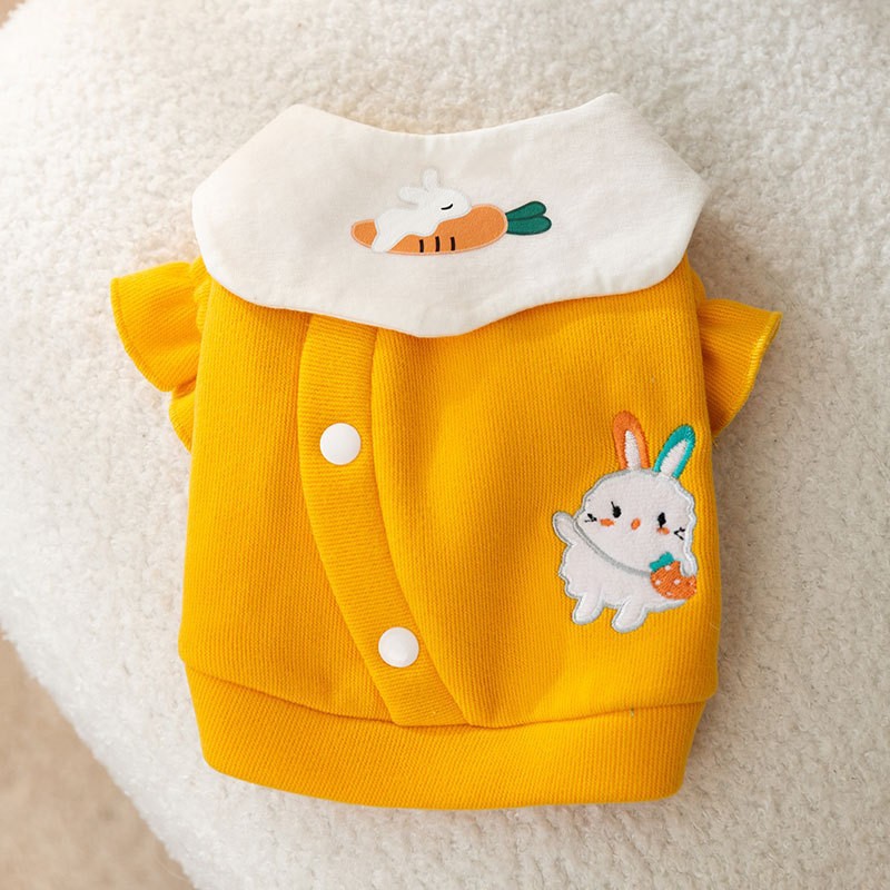 Spring and Autumn New Dog Clothes Flip Collar Hoodie Can Pull Two Feet Warm Teddy Pet Clothing HS47