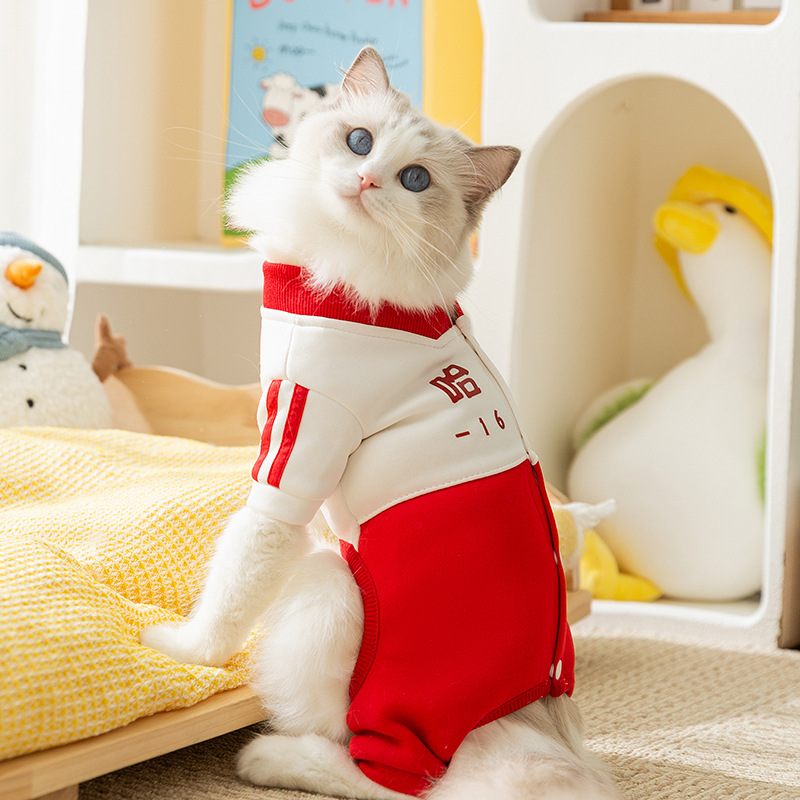 Autumn and Winter Dog Hoodie Sweaters four-legged Warm hoodie Blue Cat baby cat Pet Clothing Dog clothing