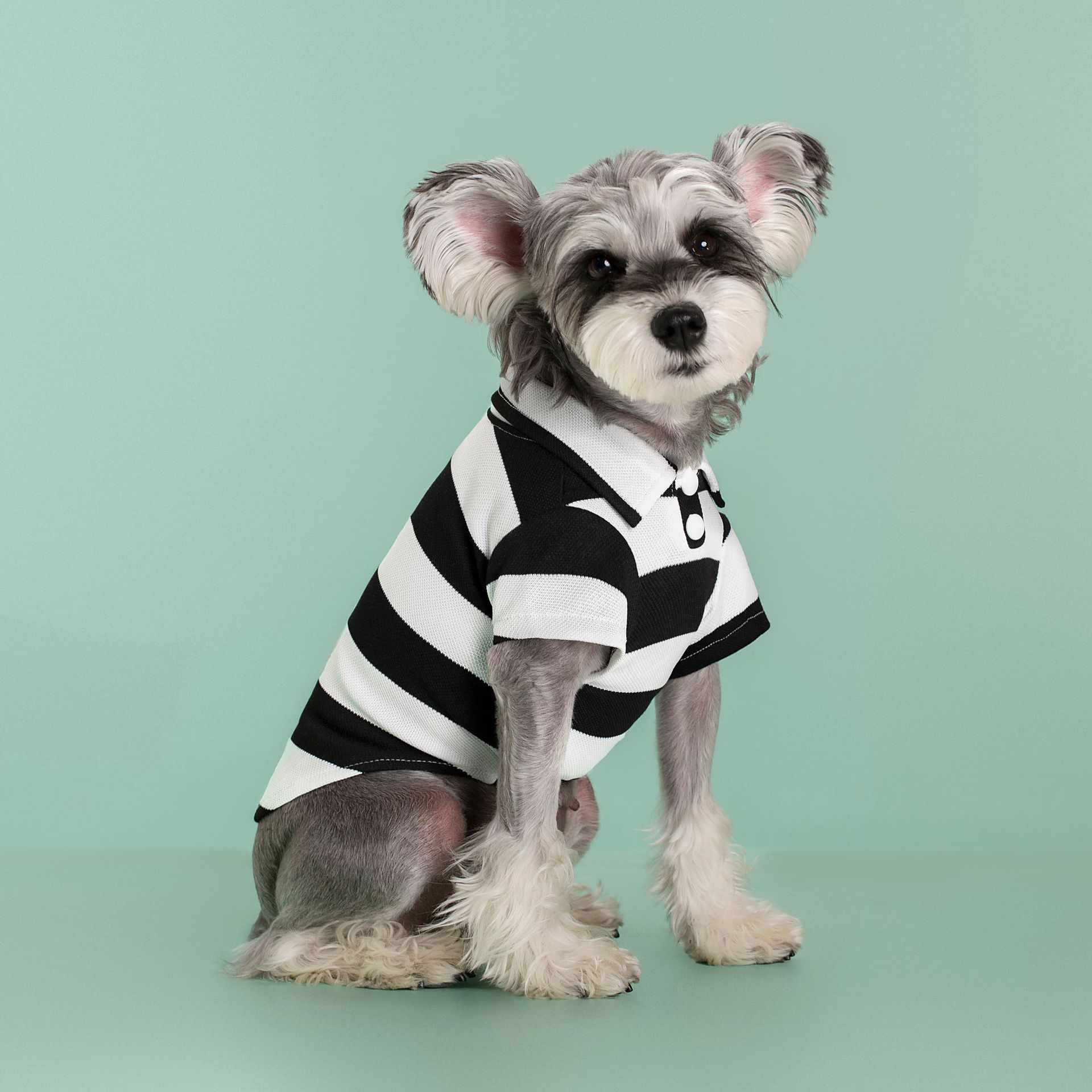 Pet supplies dog clothes new summer two-foot Polo shirt lapel Teddy Dog Apparel Pet Clothes